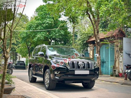 Toyota Prado VX 2.7L 2019 - ảnh 1
