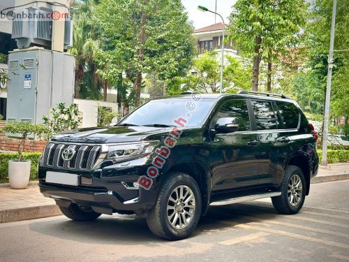 Toyota Prado VX 2.7L 2019 - ảnh 2