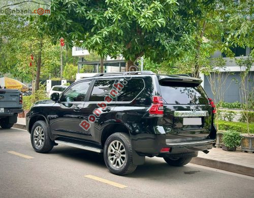 Toyota Prado VX 2.7L 2019 - ảnh 4