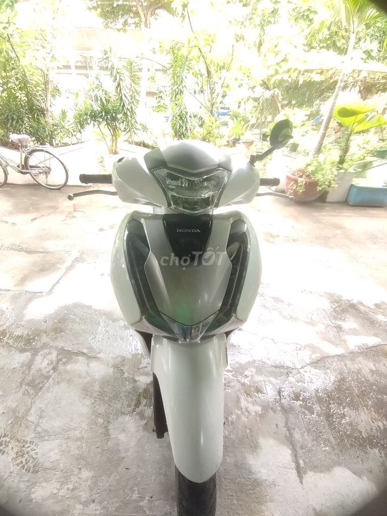 Honda SH 2019 - ảnh 4