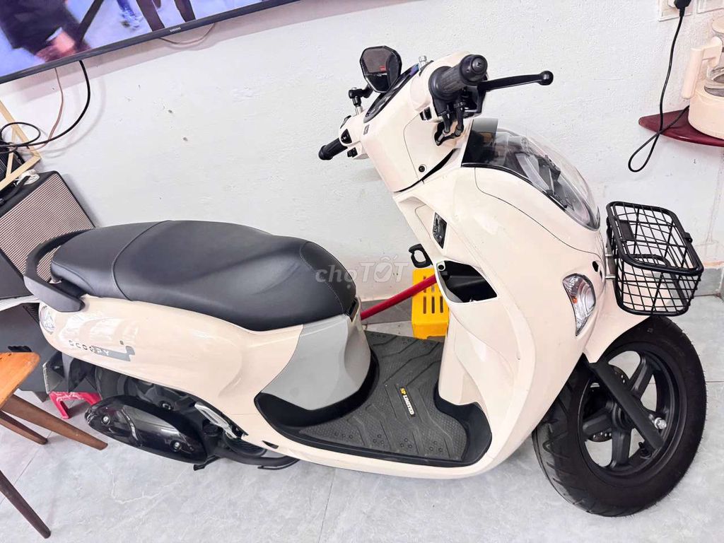 Honda Scoopy 2026 - ảnh 2