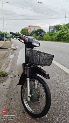 Honda Dream 2001 - ảnh 1