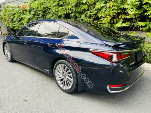 Lexus 2020 - ảnh 3