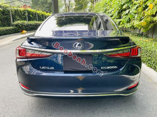 Lexus 2020 - ảnh 4