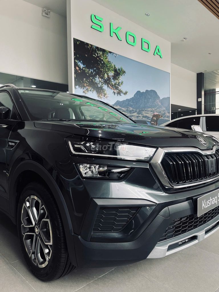 Skoda Kushaq - ảnh 3