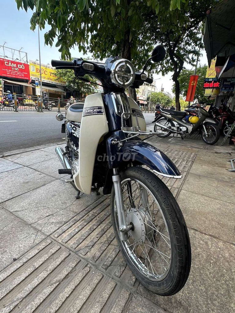 Halim C 2022 - ảnh 1