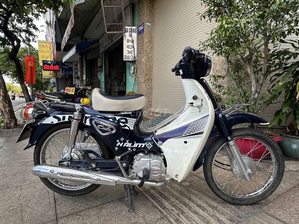 Halim C 2022 - ảnh 4