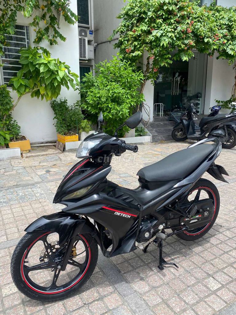 xe Ex 2019 - ảnh 3