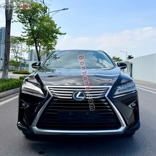Lexus RX 300 2018 - ảnh 1