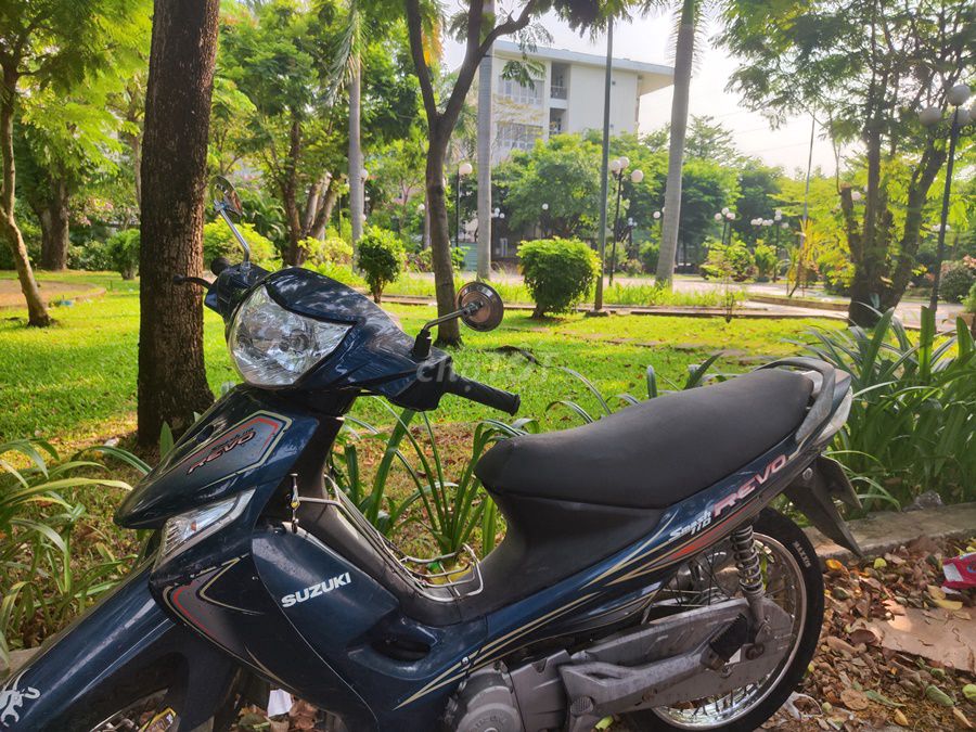 Su revo 2010 - ảnh 2