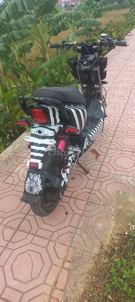 Xe m 2021 - ảnh 4