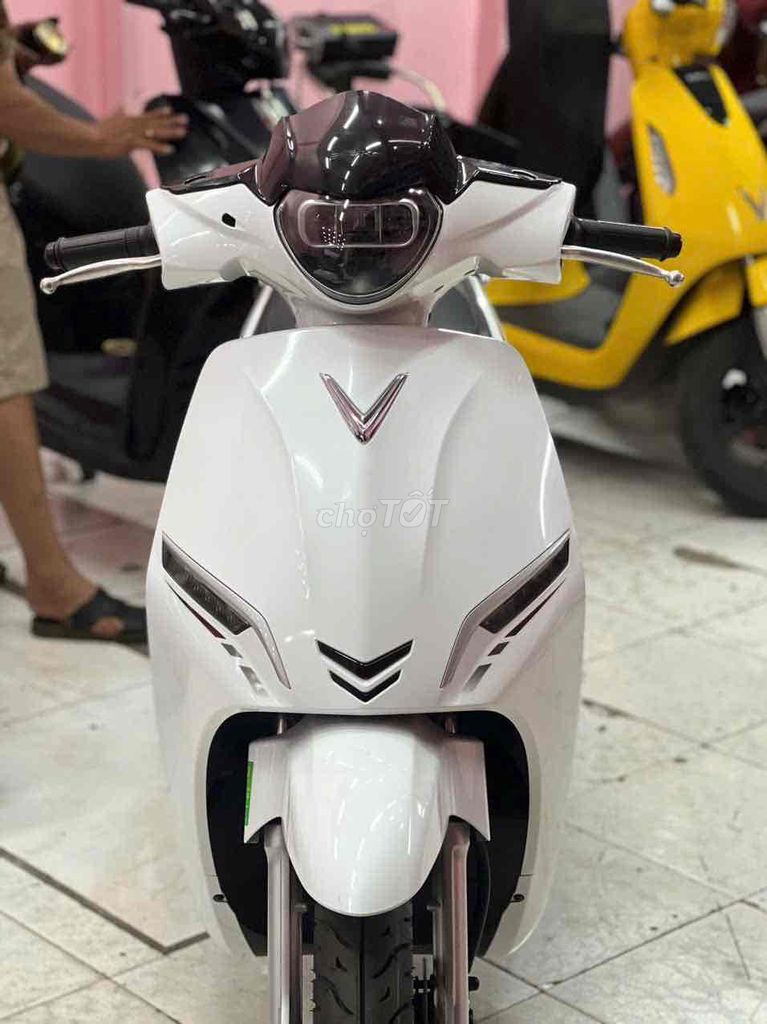 Xe m 2025 - ảnh 1