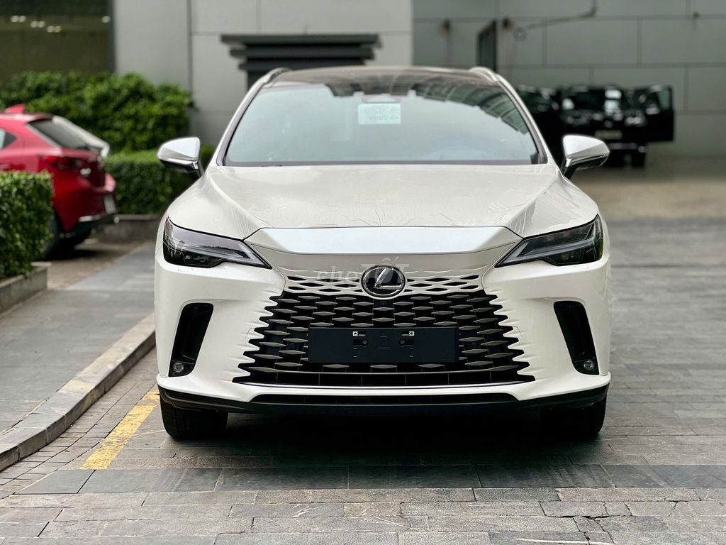 Lexus RX - ảnh 1