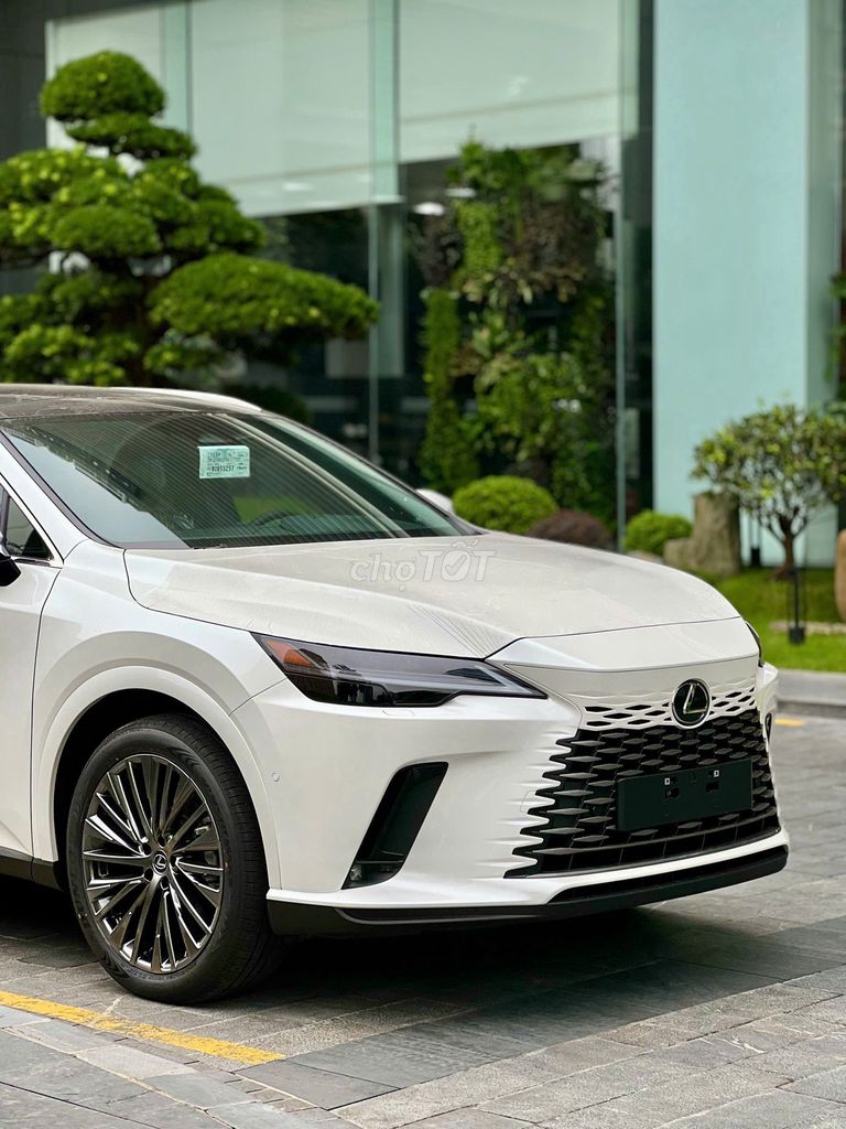 Lexus RX - ảnh 2
