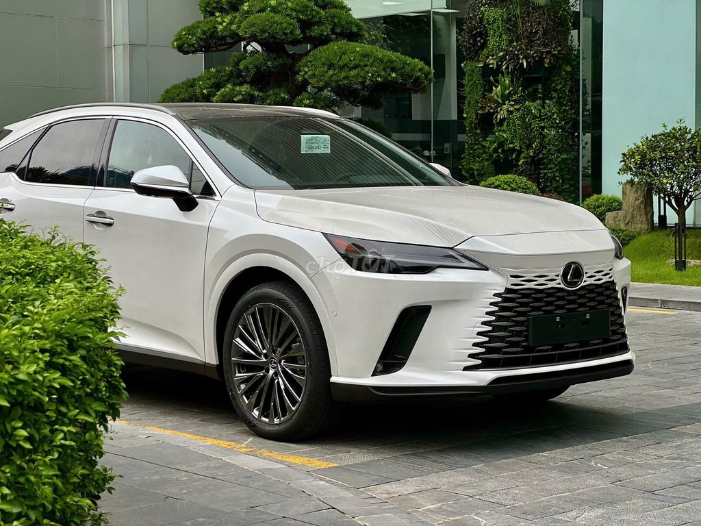 Lexus RX - ảnh 3
