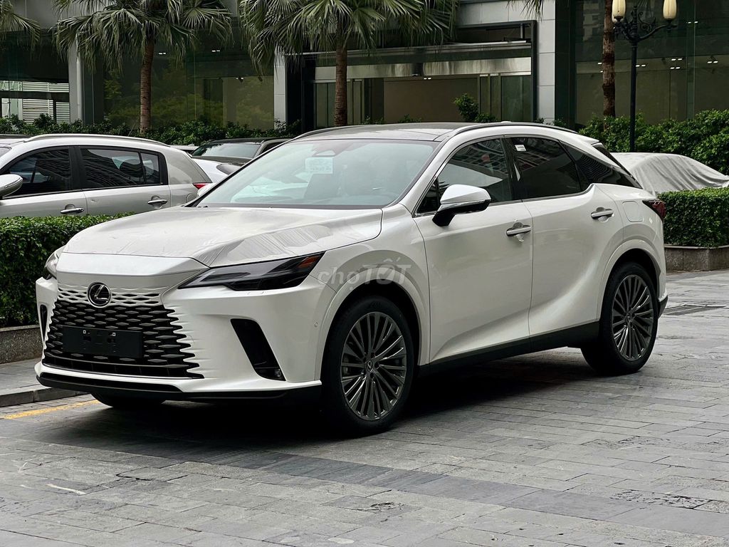 Lexus RX - ảnh 4