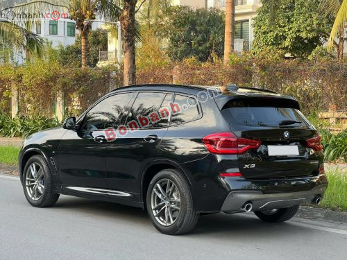 BMW X3 xDrive30i M Sport 2019 - ảnh 4
