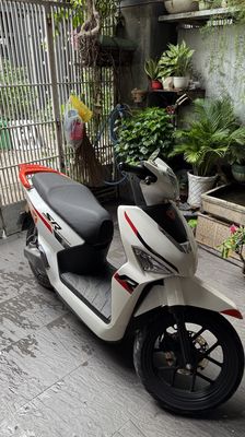 Xe m 2024 - ảnh 1