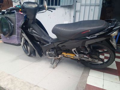 Sirius 2011 - ảnh 1