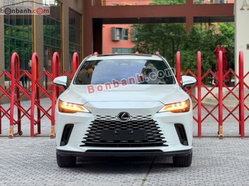 Lexus RX 350 Premium 2025 - ảnh 2