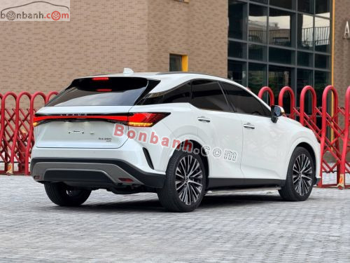 Lexus RX 350 Premium 2025 - ảnh 3