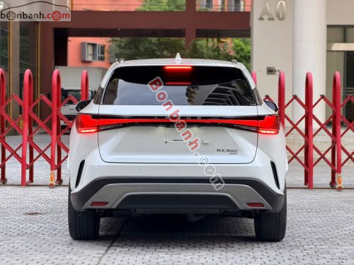 Lexus RX 350 Premium 2025 - ảnh 4