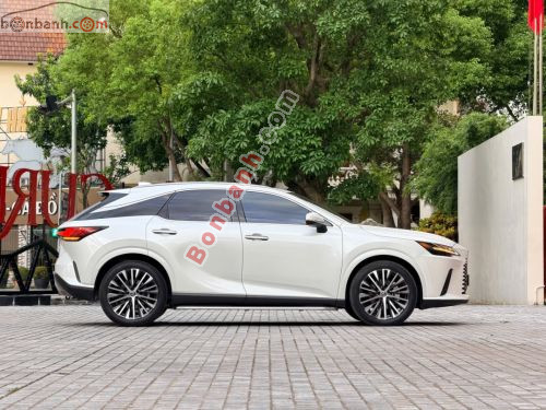 Lexus RX 350 Premium 2025 - ảnh 5