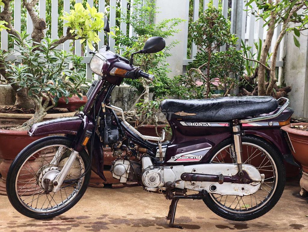 Honda Dream 1995 - ảnh 1