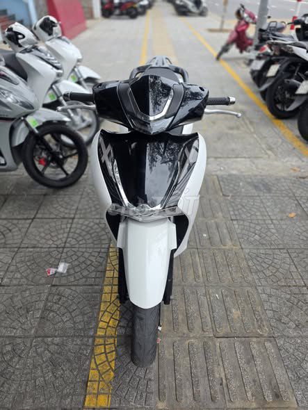 SH 2022 - ảnh 1