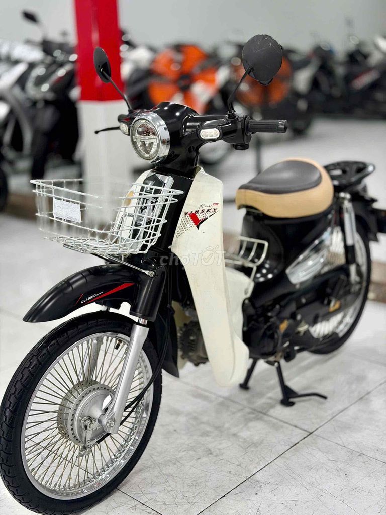 Cub 2023 - ảnh 1