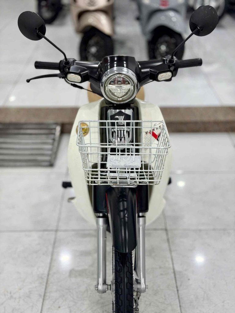 Cub 2023 - ảnh 2