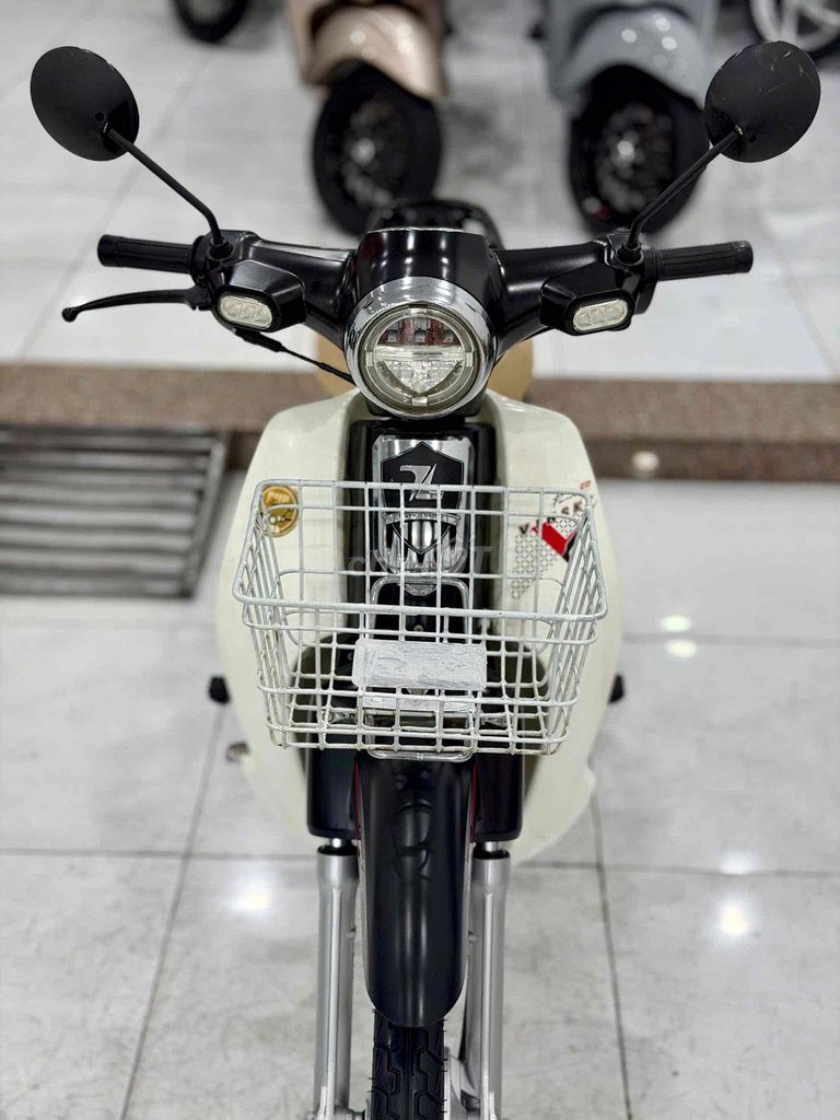 Cub 2023 - ảnh 3
