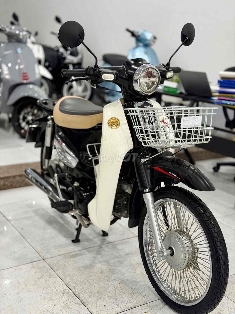 Cub 2023 - ảnh 5