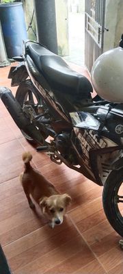 Yamaha Exciter 2018 - ảnh 1
