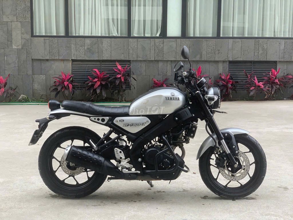 Xe m 2024 - ảnh 1
