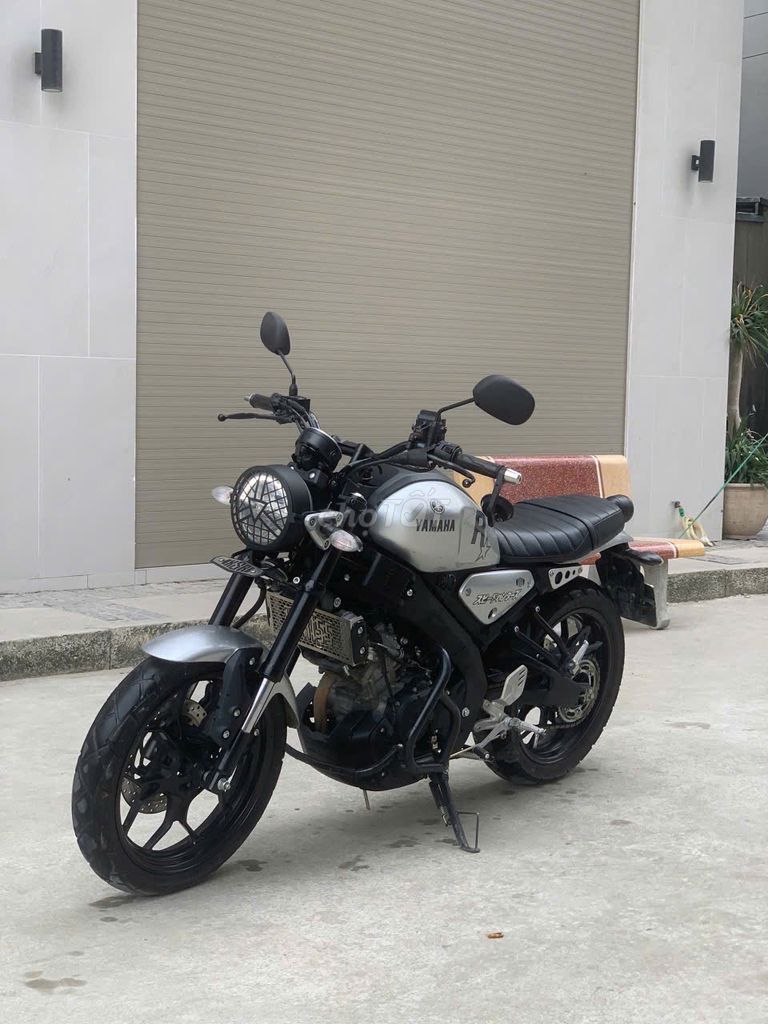 Xe m 2024 - ảnh 2