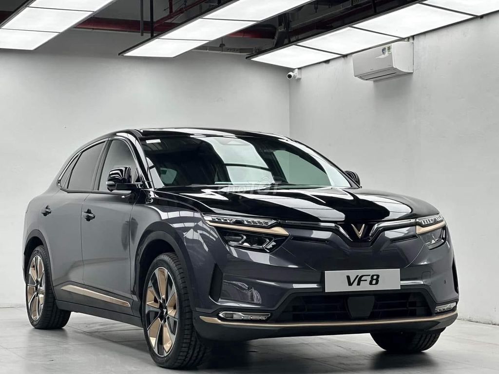 VinFast 2025 - ảnh 2