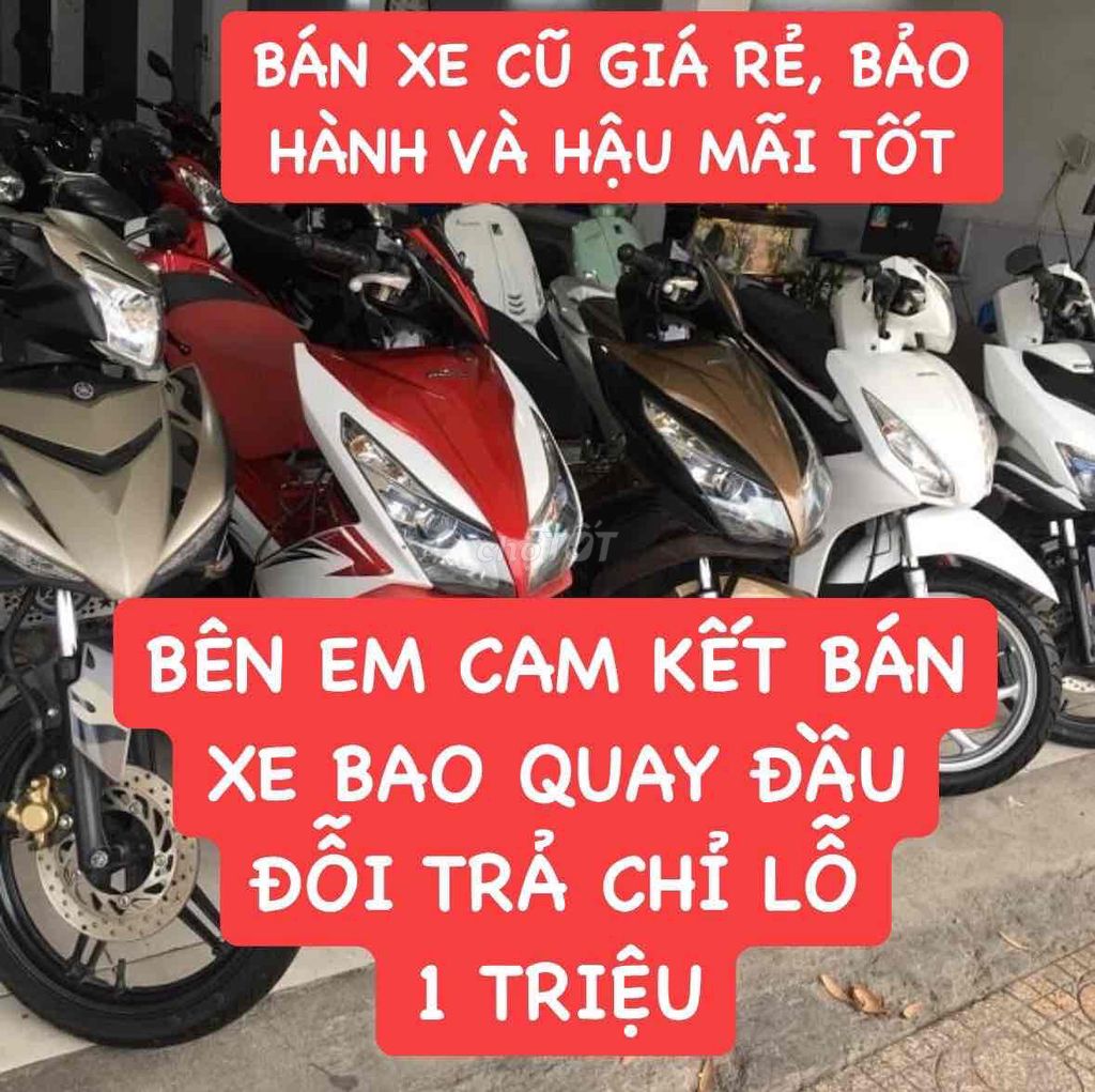 XE M 2023 - ảnh 1