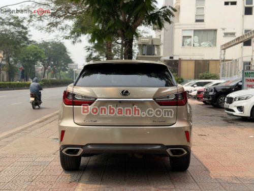 Lexus RX 300 2018 - ảnh 5