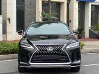 Lexus RX 300 2021 - ảnh 1