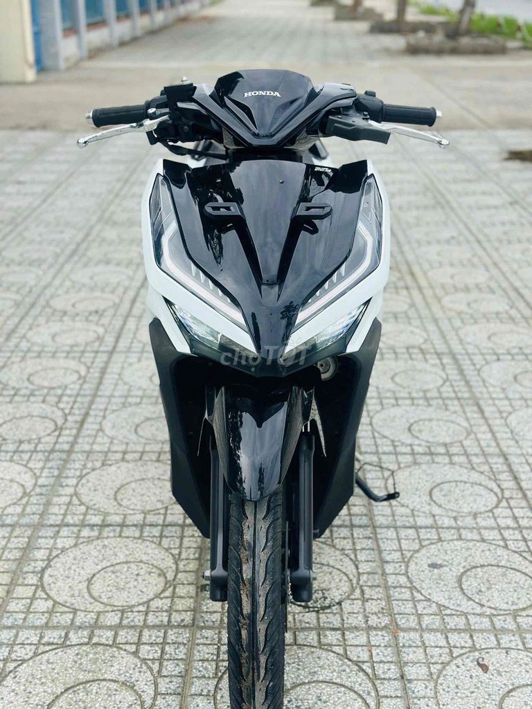 VARIO 2020 - ảnh 1