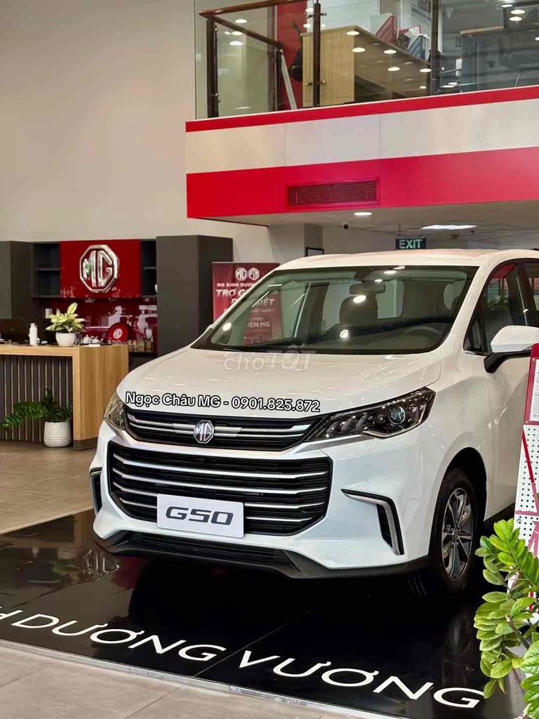 MG - ảnh 1