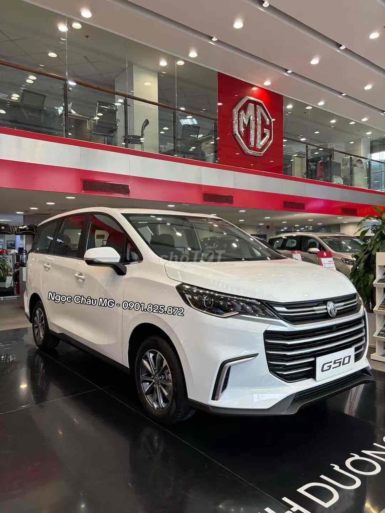 MG - ảnh 4