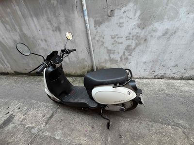 Xe m 2026 - ảnh 1