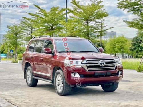 Toyota Land Cruiser 4.6 V8 2020 - ảnh 1