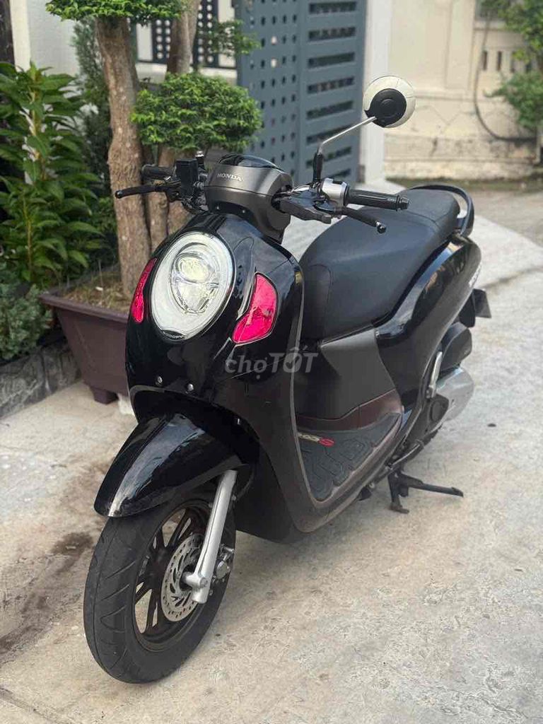 Honda Scoopy 2022 - ảnh 1