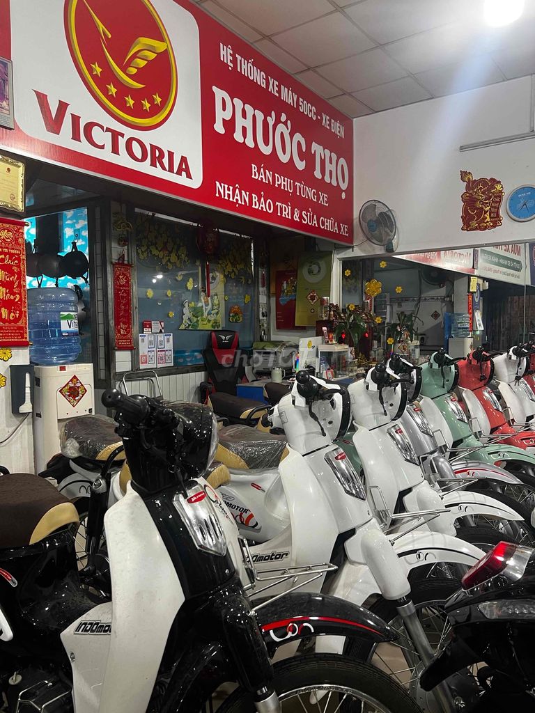 xe Cup 2025 - ảnh 2