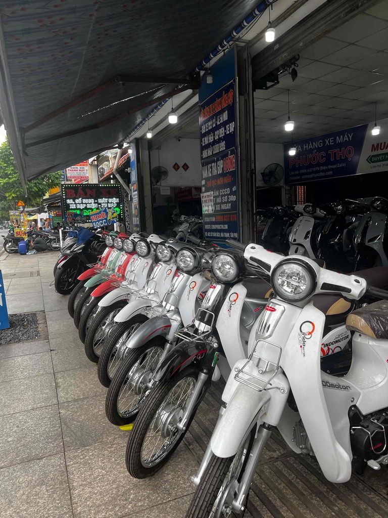 xe Cup 2025 - ảnh 3