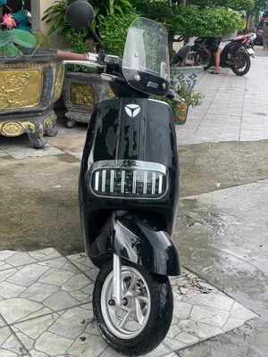 Xe 2024 - ảnh 1