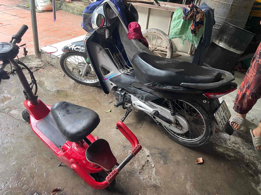 Xe m 2024 - ảnh 1